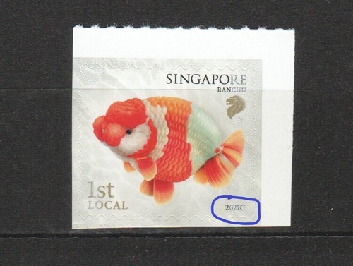 Singapore 2022 goldfish 1st - 2022,