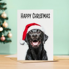 Black Labrador Dog in Santa