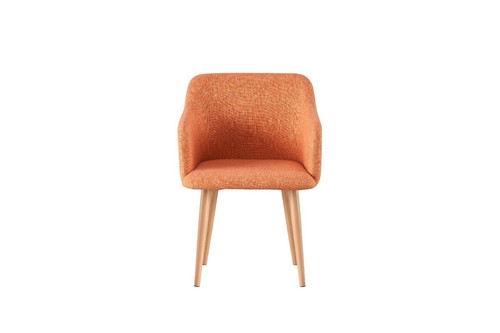 Armchair lounge chair - armchair,