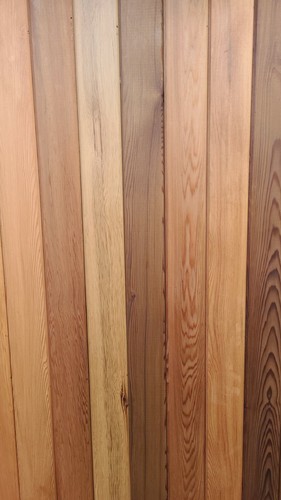 Canadian western red cedar