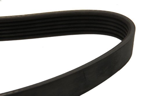 Ribbed bel dayco - v-ribbed,