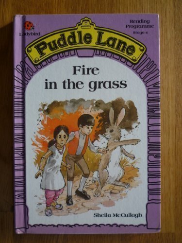 Fire the grass puddle - in,