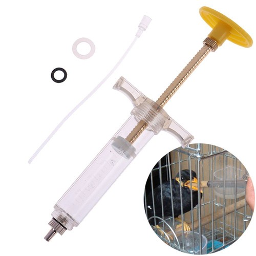 50ml bird baby - baby, budgie