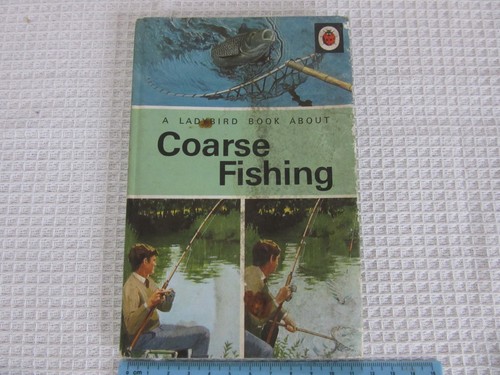 Vintage ladybird book - book,