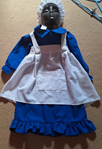 Ids blue victorian alice in - victorian,