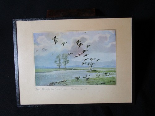 Lovely vintage peter scott - peter,