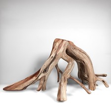 29" Manzanita Driftwood Branch