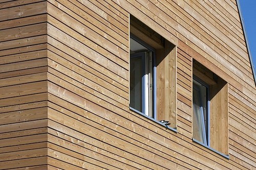 Siberian larch cladding - siberian,