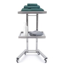 2-Tier Foldable Salon Trolley
