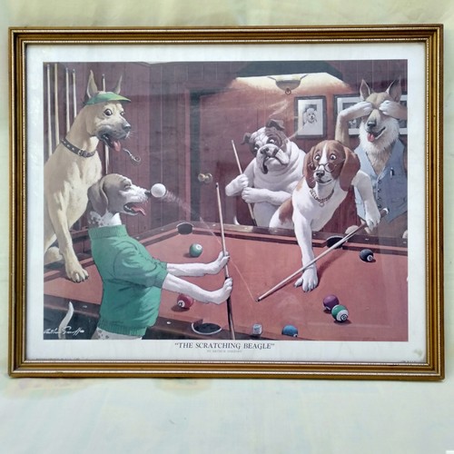 The scratching beagle b - the,