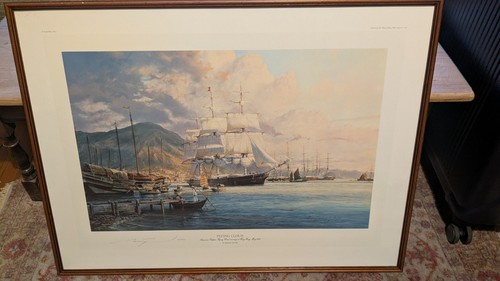 Flying cloud print limited - cloud,