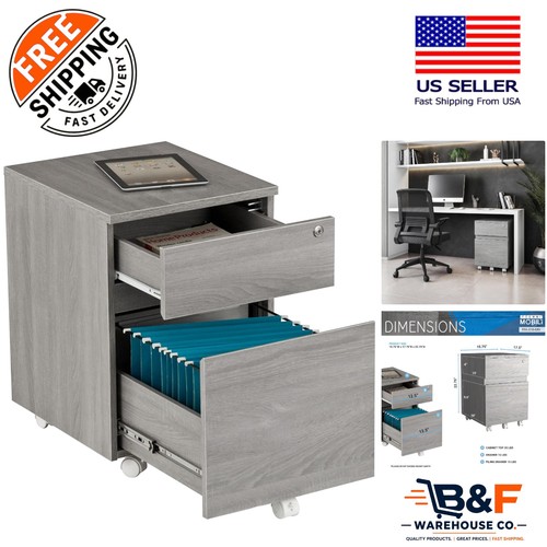 Secure drawer rolling file - 2-drawer,