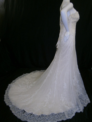 Sophia tolli sample - sophia, wedding