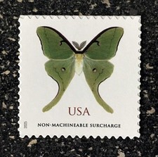 2025USA Non Machineable Rate Luna Moth Butterfly - Single Stamp  Mint NH