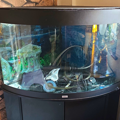Juwel bowfront glass fish - glass, tank