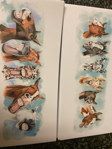 New equestrian joblot - equestrian, 99