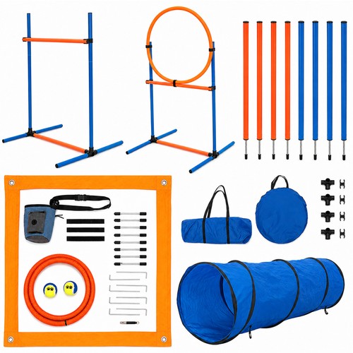 Dog agility training - agility, set