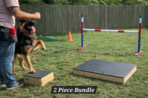 Dog training place board - place,