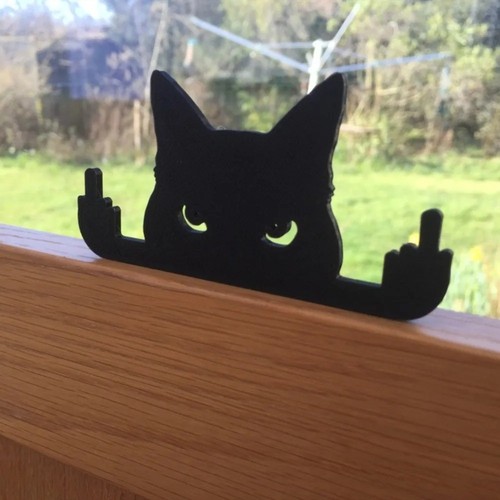 Funny black cat - funny, fence