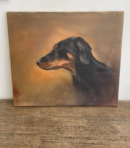 Vintage doberman pinscher - vintage,