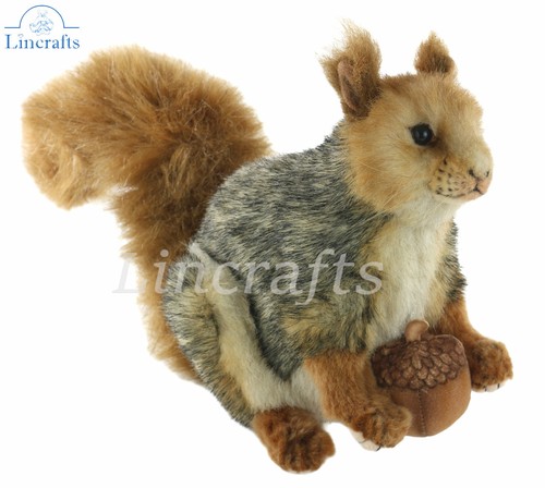 Hansa crouching grey squirrel - hansa,