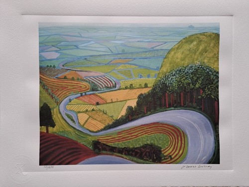 David hockney signed - david,