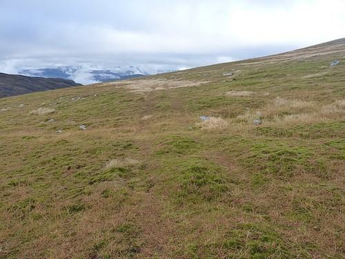Photo 6x4 argocat track above - photo,