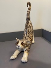 Winstanley Tabby Cat