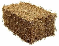 Wheat Straw FULL SIZE BALE IN