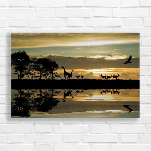 African animal sunset - african,