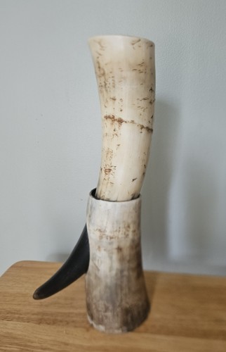 Genuine horn viking - genuine,
