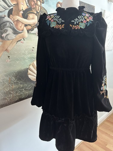 Victorian velvet dress size - victorian,