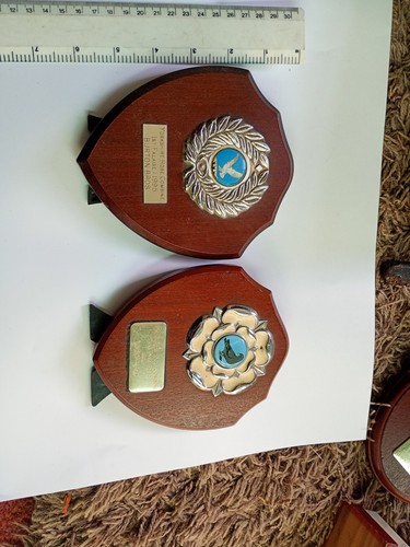 Pigeon racing shield 2 - x,
