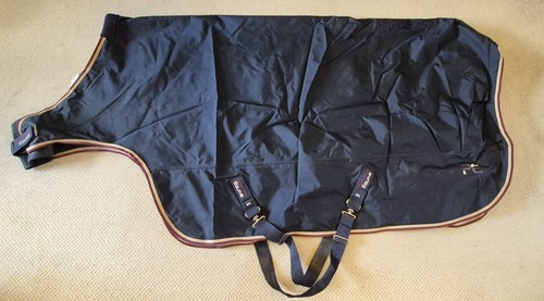 Premier equine horse - equine,