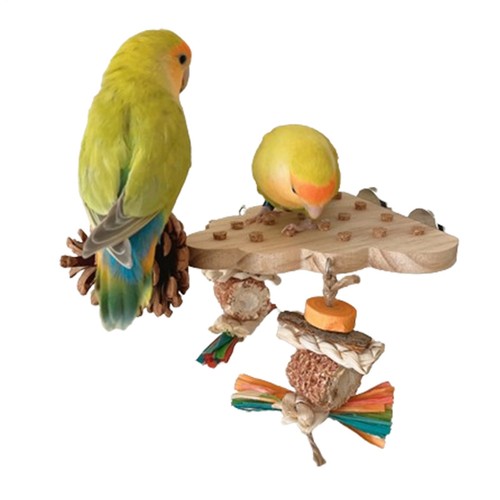 Wooden parrot bird perch - wooden,