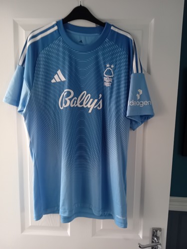 Nottingham forest blue - nottingham,