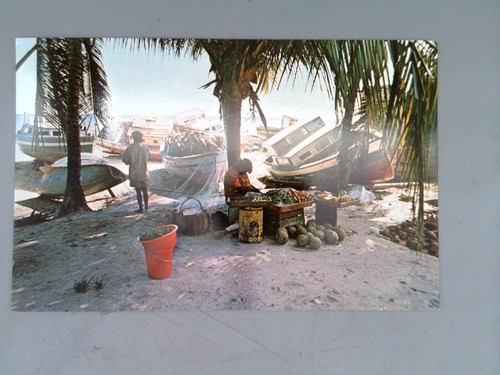 Busy dat caribbean fishing - in,