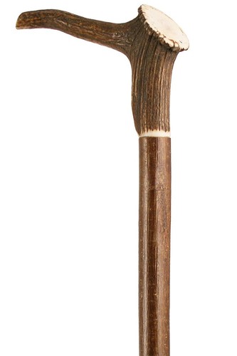 Staghorn crown handle walking - staghorn,