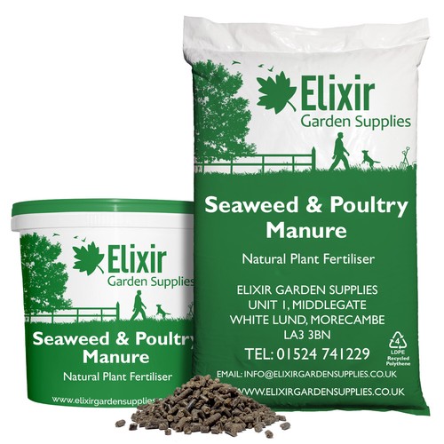 Natural organic seaweed - natural,