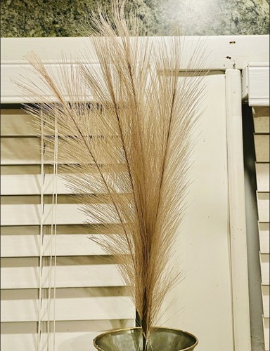 Pampas grass pick - grass, pick,