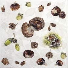 4x Single Paper Napkins for