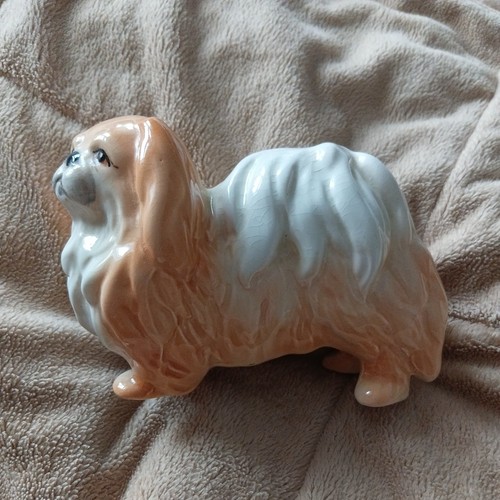 Vintage pekingese dog - pekingese,
