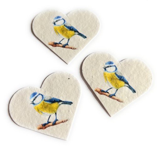 Bird seeded card paper heart - seeded,