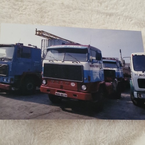 Buy get free whitetrux - 1,