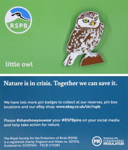 Rspb pin badge niic - niic, owl