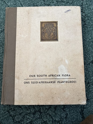 Our south african - our, flora