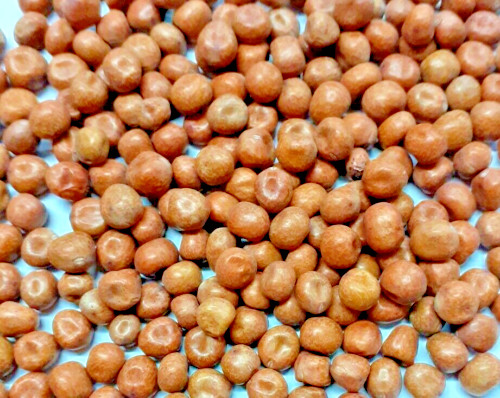 Maple peas fishing bait carp - bait,