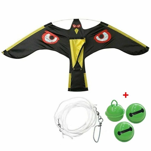 Anti bird flying - bird, hawk
