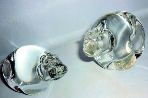 Cute adrian sankey - 2, clear