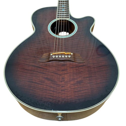 Takamine 108 acoustic - takamine, pt-108